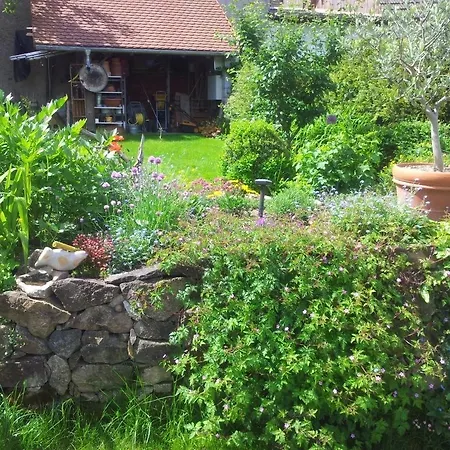 Haus Burgblick شقة